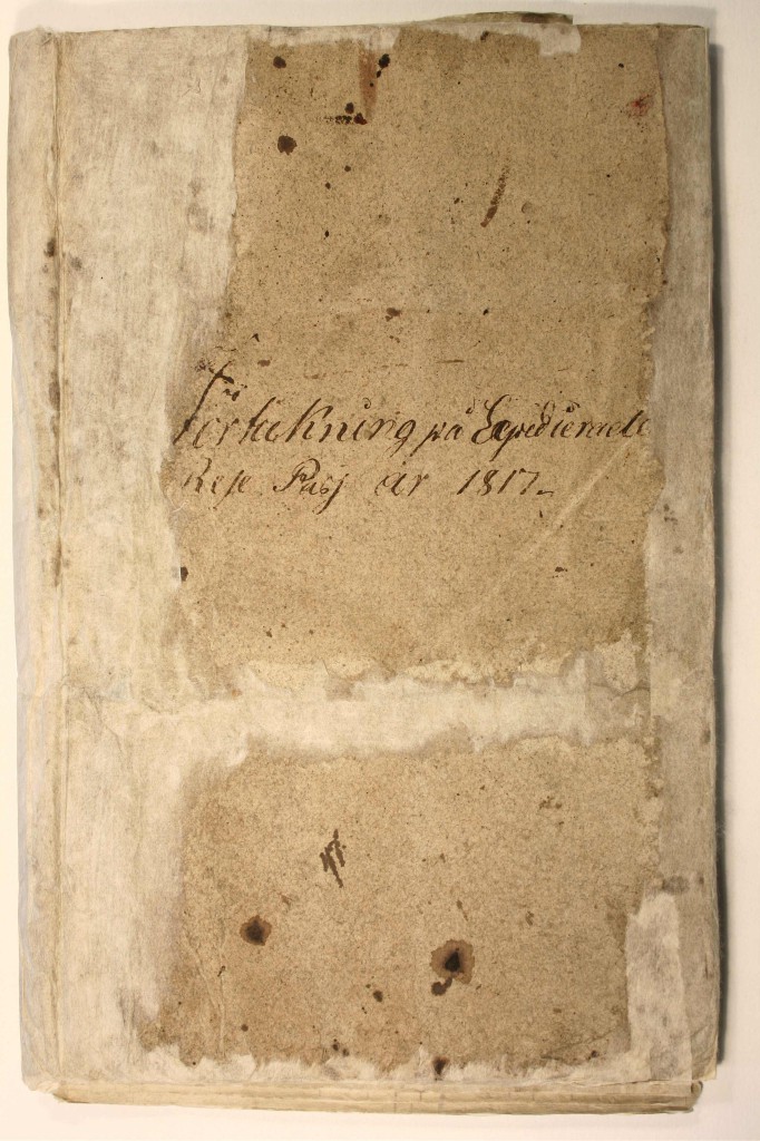 gf_rabild_lla_blekingelanslandskansli_CI_ passjournaler_ vol1_1817_blekingelans_landskansli_1_av_119_